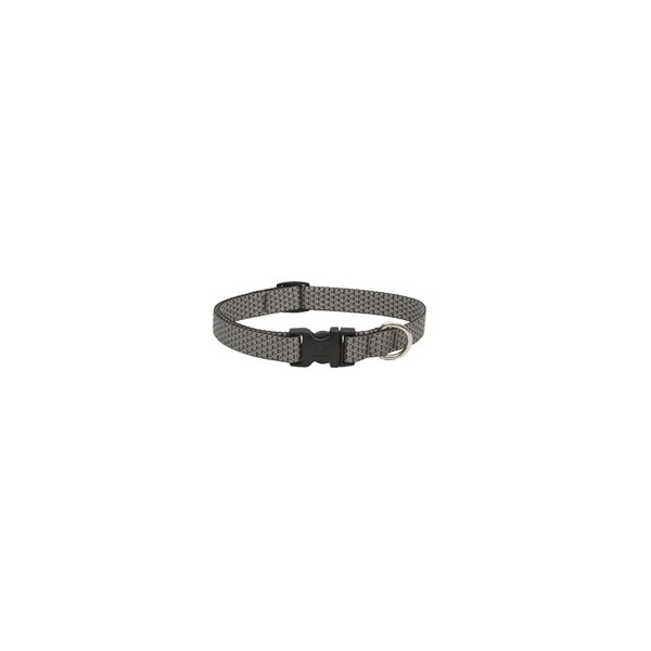 Lupine Eco Dog Collar, Adjustable, Granite, 3/4 x 13 to 22-In. - 36502