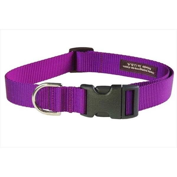 Sassy Dog Wear Sassy Dog Wear SOLID PURPLE MED-C Nylon Webbing Dog Collar; Purple - Medium - SOLID PURPLE MED-C
