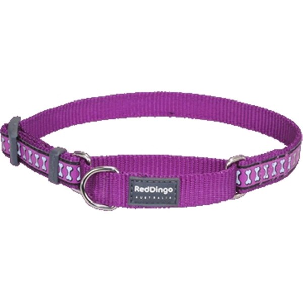 Red Dingo Martingale Dog Collar Reflective Purple, Medium - RE437165