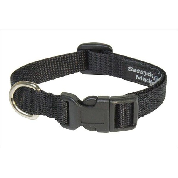 Sassy Dog Wear Sassy Dog Wear SOLID BLACK XS-C Nylon Webbing Dog Collar; Black - Extra Small - SOLID BLACK XS-C