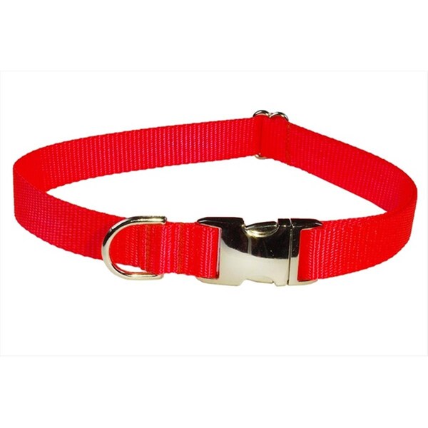 Sassy Dog Wear Aluminum Buckles Dog Collar- Neon Orange - Small - SOLID NEON ORANGE-METAL BUCKLE LG-C