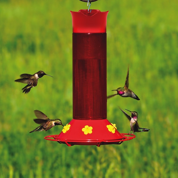 Perky-Pet Perky-Pet Hummingbird 30 oz Plastic Nectar Feeder 6 ports - 409