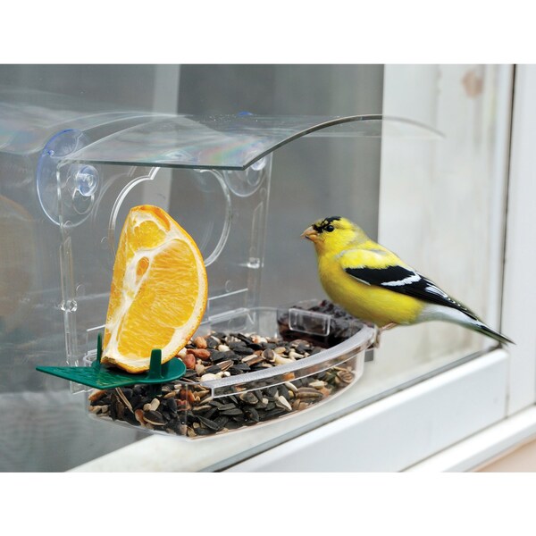 Audubon Audubon Wild Bird 1 lb Plastic Window Mount Bird Feeder 2 ports - NAWFDR