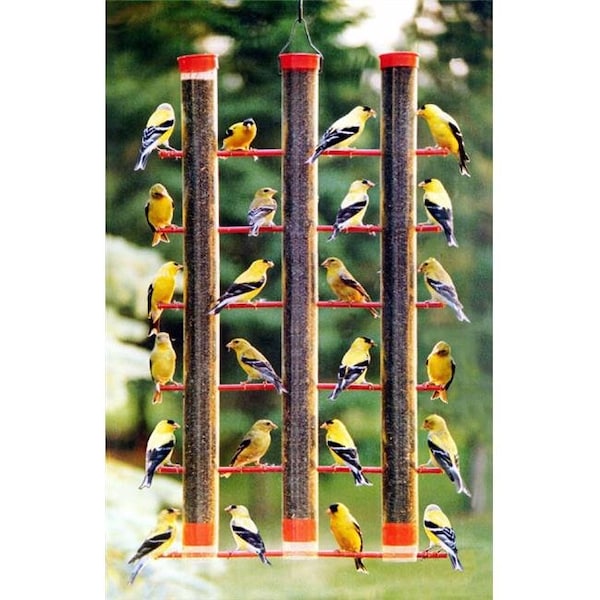 Songbird Essentials Songbird Essentials Finches Favorite  3 Tube Feeder - SE324
