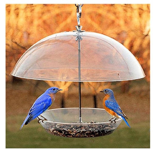 Fancy Feline NABBFDR Dome Top Seed & Bluebird Bird Feeder - FA137067