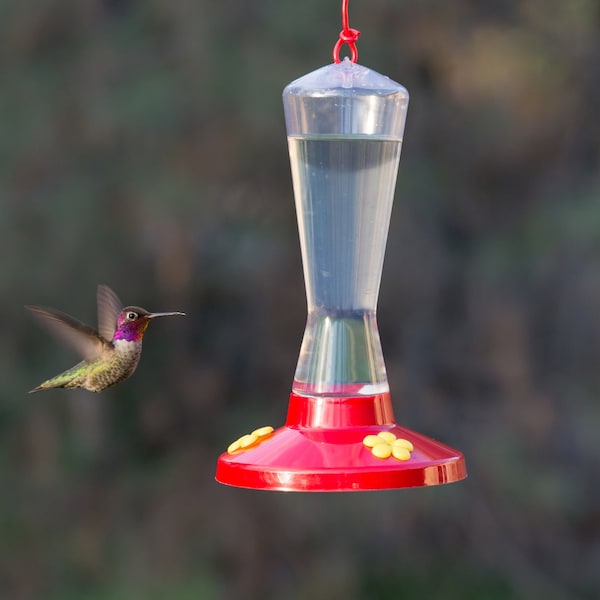 Perky-Pet Perky-Pet Hummingbird 8 oz Plastic Nectar Feeder 3 ports - 211