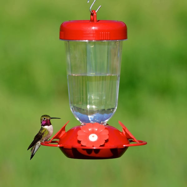 Perky-Pet Perky-Pet Hummingbird 16 oz Plastic Nectar Feeder 4 ports - 135TF