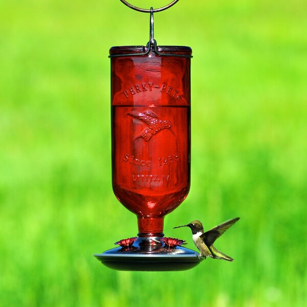 Perky-Pet Perky-Pet Hummingbird 16 oz Glass/Metal/Plastic Nectar Feeder 4 ports - 8109-2