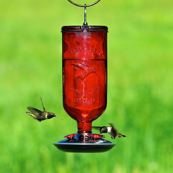Perky-Pet Perky-Pet Hummingbird 16 oz Glass/Metal/Plastic Nectar Feeder 4 ports - 8109-2