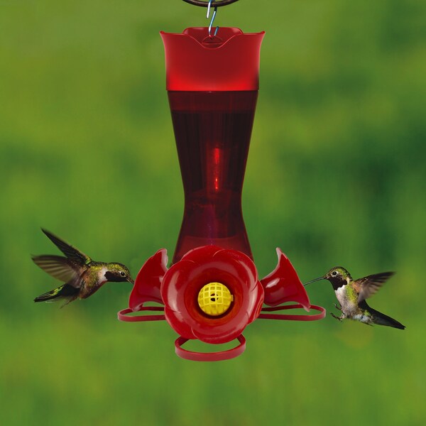 Perky-Pet Perky-Pet Hummingbird 8 oz Plastic Pinch Waist Nectar Feeder 4 ports - 403CP