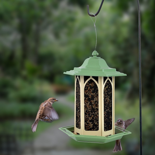 Perky-Pet Perky-Pet Wild Bird and Finch 3.5 lb Metal/Plastic Gazebo Bird Feeder - GAZ01