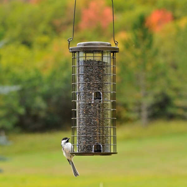 Perky-Pet Perky-Pet Squirrel Stumper Wild Bird 3 lb Metal/Plastic Bird Feeder 8 ports - 114