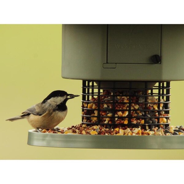 Wingscapes Wild Bird 1 gal Plastic Tube Bird Feeder 1 ports - WSBF02-00132