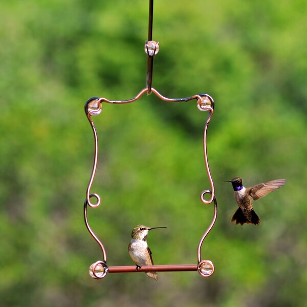 Perky-Pet Perky-Pet 7.25 in. H X 5 in. W Hummingbird Swing - 90