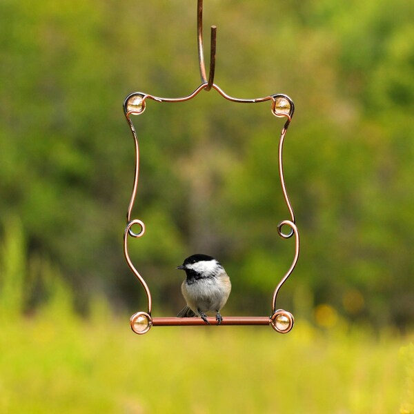 Perky-Pet Perky-Pet 7.25 in. H X 5 in. W Hummingbird Swing - 90