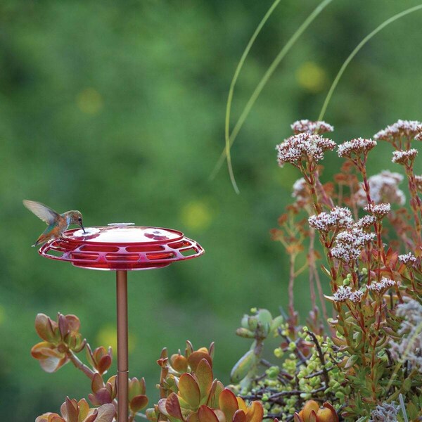 Classic Brands Classic Birds More Birds Bird Health+ 6 Oz. 3-In-1 Hummingbird Feeder Red/Yellow - 30