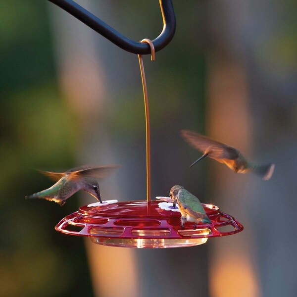 Classic Brands Classic Birds More Birds Bird Health+ 6 Oz. 3-In-1 Hummingbird Feeder Red/Yellow - 30
