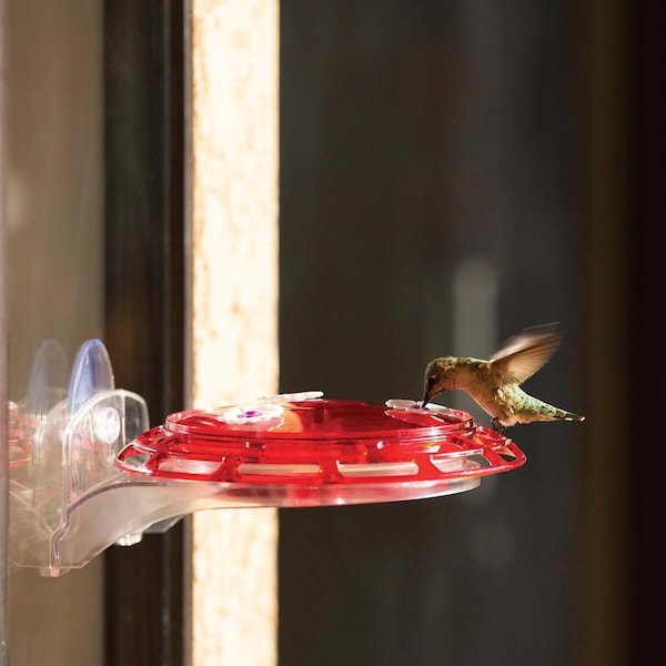 Classic Brands Classic Birds More Birds Bird Health+ 6 Oz. 3-In-1 Hummingbird Feeder Red/Yellow - 30