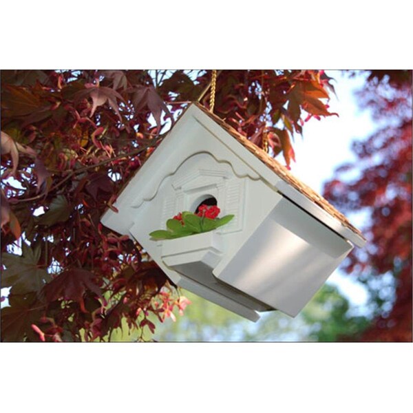 Fancy Feline Little Wren Bird Bird House - FA72453