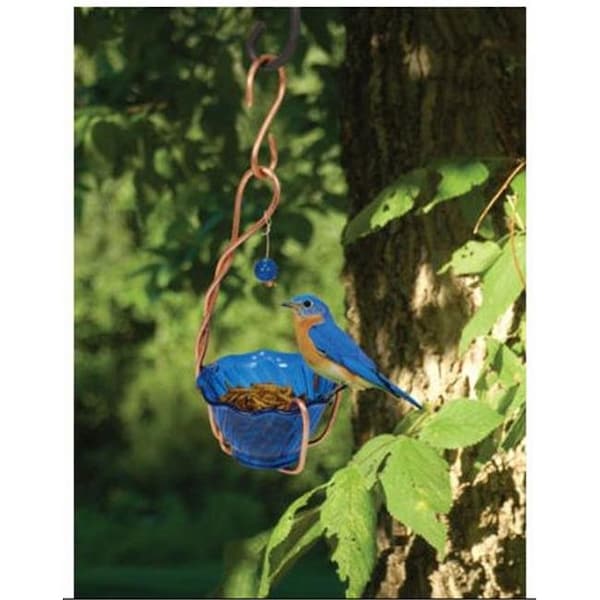Songbird Essentials Songbird Essentials SEHHBBMW Copper Bluebird Mealworm Feeder - SEHHBBMW