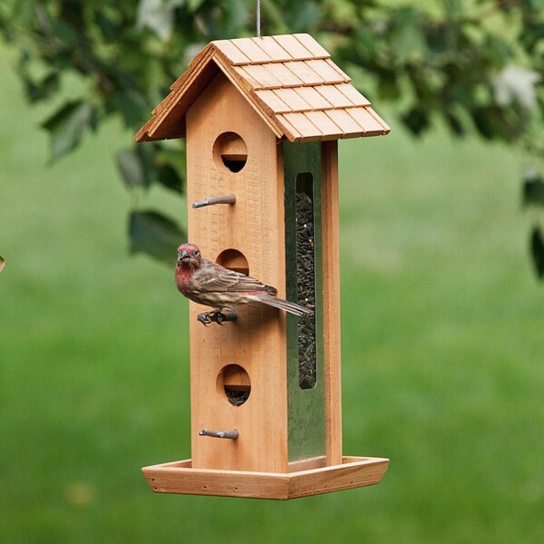 Birdscapes Perky-Pet Tin Jay Wild Bird 2 lb Wood Twig Bird Feeder 6 ports - 50171