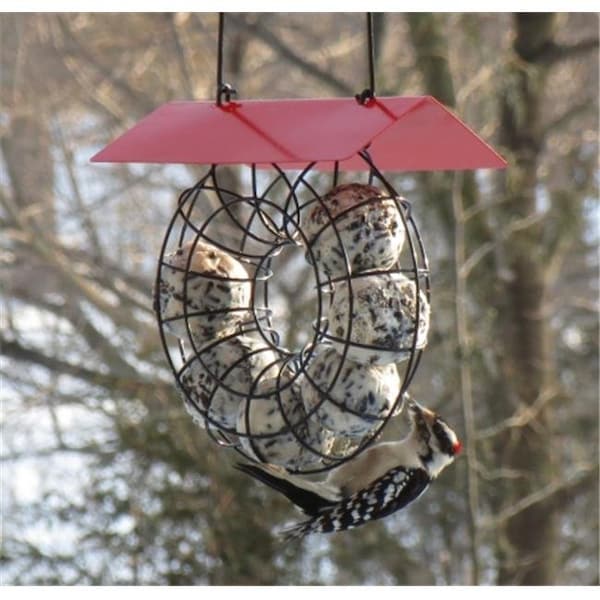 Songbird Essentials Songbird Essentials Suet Ball Red Roof Round Wire Circle Feeder - SE908