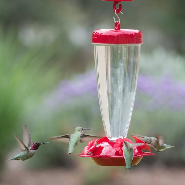 Perky-Pet Perky-Pet Hummingbird 24 oz Plastic Nectar Feeder 4 ports - 138TF