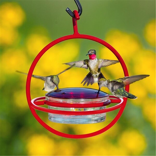 Couronne Co. Couronne COURM047301R Hummble Bold Hummingbird Feeder Perch - COURM047301R