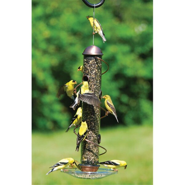 Songbird Essentials 17 Inch Copper Spiral Sunflower Feeder - SEBQSBF3C