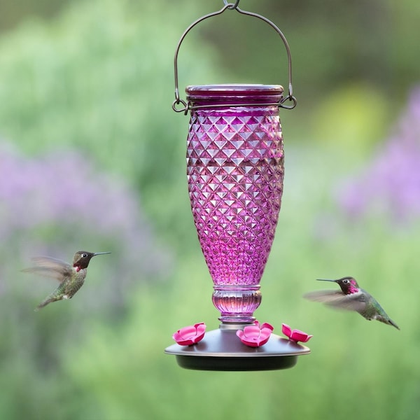 Perky-Pet Perky-Pet Hummingbird 24 oz Glass/Plastic Diamond Wine Nectar Feeder 5 ports - 9102-2