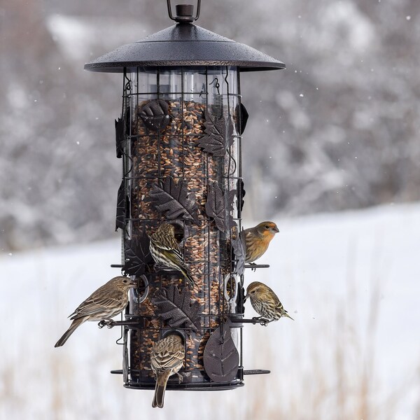 Perky-Pet Perky-Pet Squirrel-Be-Gone Wild Bird 8 lb Metal/Plastic Bird Feeder 9 ports - 337