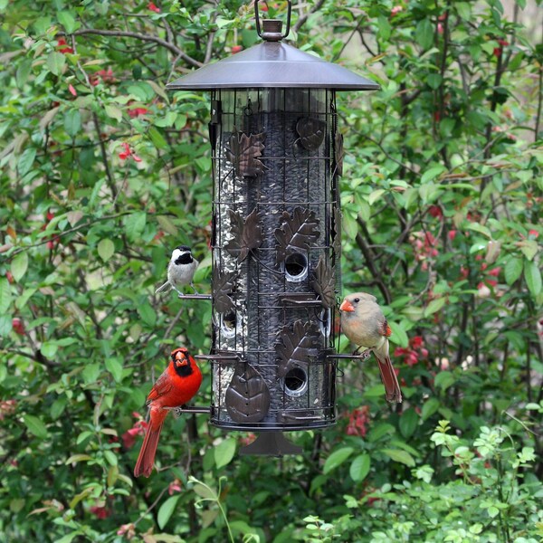 Perky-Pet Perky-Pet Squirrel-Be-Gone Wild Bird 8 lb Metal/Plastic Bird Feeder 9 ports - 337