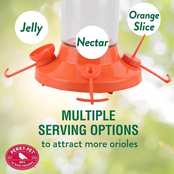 Perky-Pet Perky-Pet Oriole 30 oz Glass/Plastic Nectar Feeder 4 ports - 209BO-4