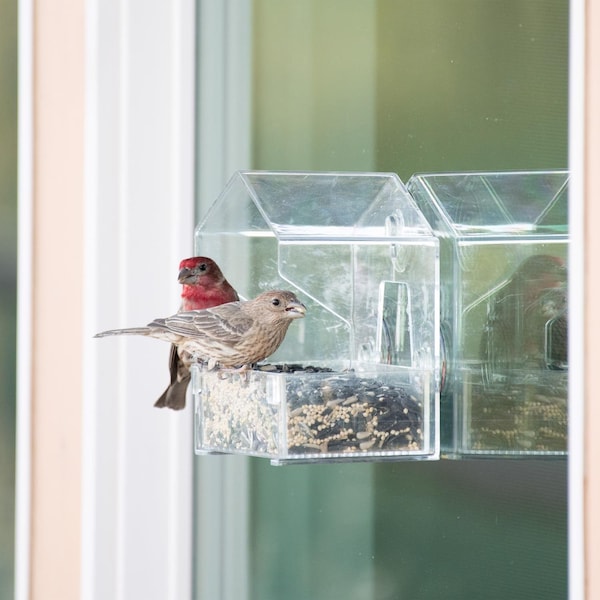 Perky-Pet Perky-Pet Wild Bird 0.5 lb Plastic Window Bird Feeder 1 ports - 345