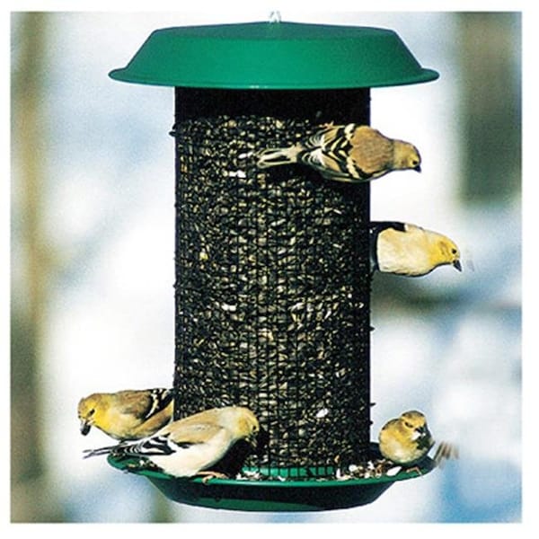 Woodlink Ltd Woodlink NAMAG1 Plastic Oil Sunflower Bird Magnum Feeder; Hunter Green - 143289