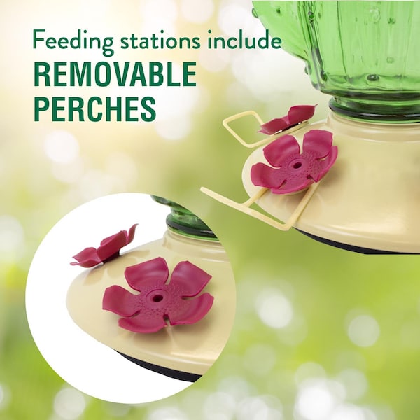 Victor Perky-Pet Hummingbird 32 oz Glass/Metal Cactus Top-Fill Bird Feeder 5 ports - 9111-2