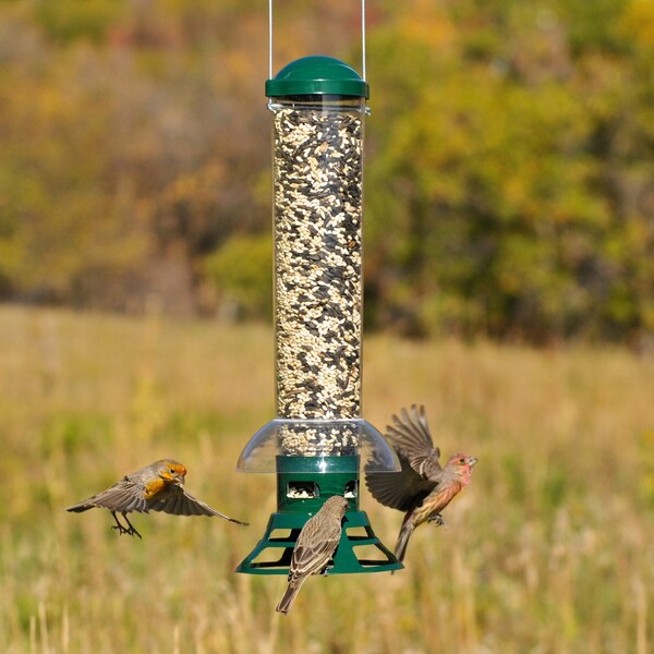 Perky-Pet Perky-Pet Squirrel Slammer Wild Bird 3.5 lb Metal/Plastic Bird Feeder 3 ports - 5141-2