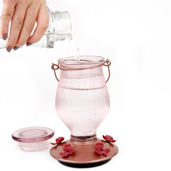 Perky-Pet Perky-Pet Hummingbird 24 oz Glass/Plastic Nectar Feeder 5 ports - 9104-2