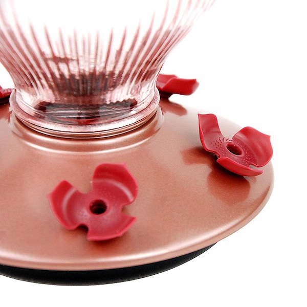 Perky-Pet Perky-Pet Hummingbird 24 oz Glass/Plastic Nectar Feeder 5 ports - 9104-2
