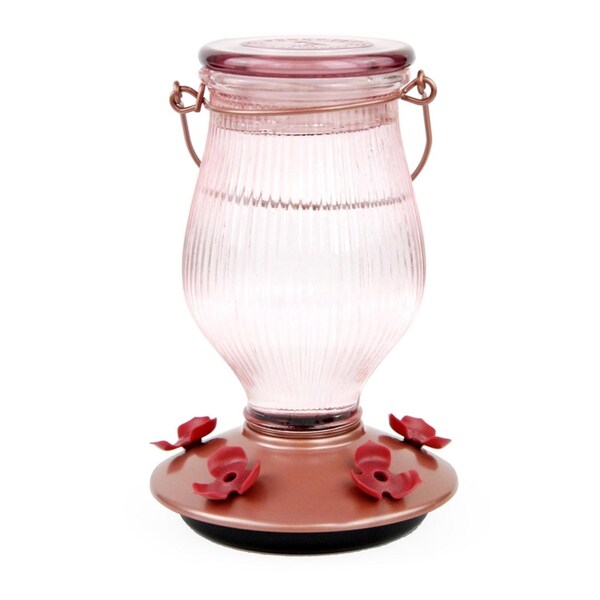 Perky-Pet Perky-Pet Hummingbird 24 oz Glass/Plastic Nectar Feeder 5 ports - 9104-2