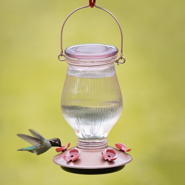 Perky-Pet Perky-Pet Hummingbird 24 oz Glass/Plastic Nectar Feeder 5 ports - 9104-2