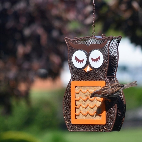 Heath Suet and Seed Bird Feeder, Whimsical Owl, Brown/Orange - 21703