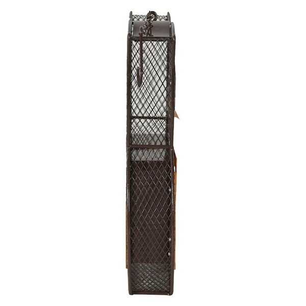 Heath Suet and Seed Bird Feeder, Whimsical Owl, Brown/Orange - 21703