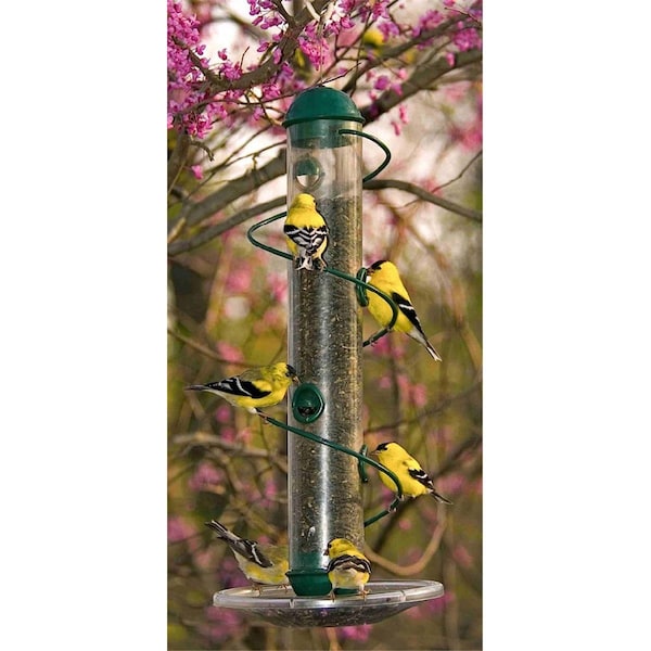 Songbird Essentials 17 Inch Green Spiral Sunflower Feeder - SEBQSBF3G