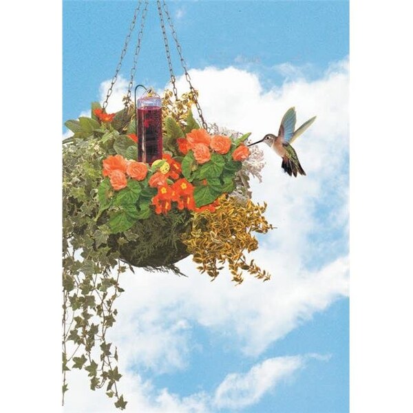 Perky-Pet Perky Pet PP215 Hummingbird Basket Planter Feeder - PP215