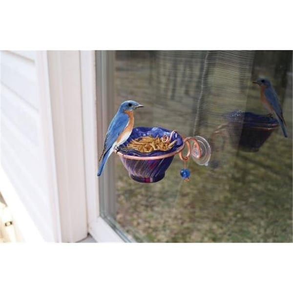 Songbird Essentials Songbird Essentials SEHHBBWF Copper Bluebird Mealworm Window Feeder - SEHHBBWF