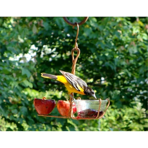 Songbird Essentials Songbird Essentials SEHHFRJL Fruit and Jelly Feeder - SEHHFRJL