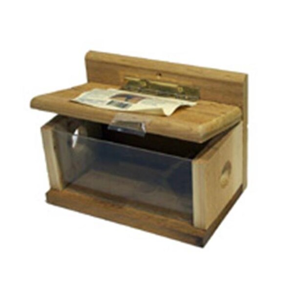 Songbird Essentials Songbird Essentials SESC1050C 6" x 10" x 7" Post Mount Bluebird Feeder - SESC1050C