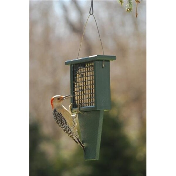 Songbird Essentials Songbird Essentials SERUBSF100H 11.3" x 2.5" x 7.5" Suet Feeder with Tail Prop - SERUBSF100H