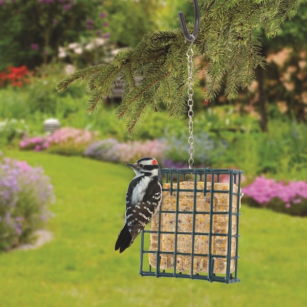 Woodlink Woodlink Wild Bird Metal Small Suet Cage - 25121